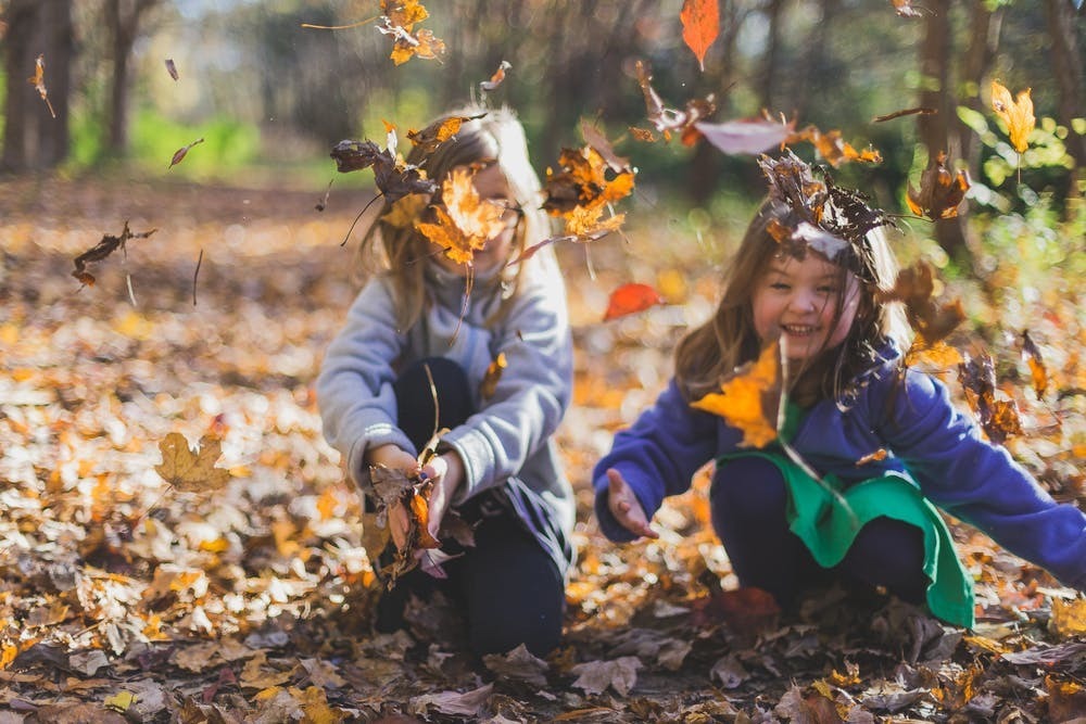 two little girls playing in leaf piles 